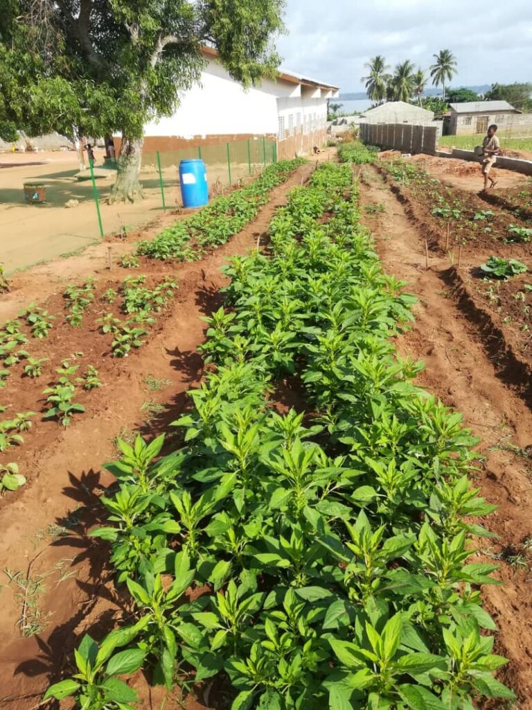 IMG 20210524 WA0064.jpg