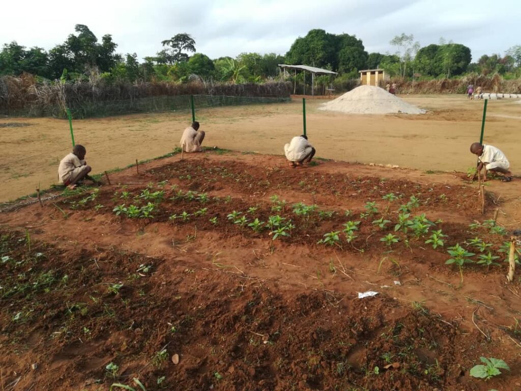 IMG 20210524 WA0080.jpg