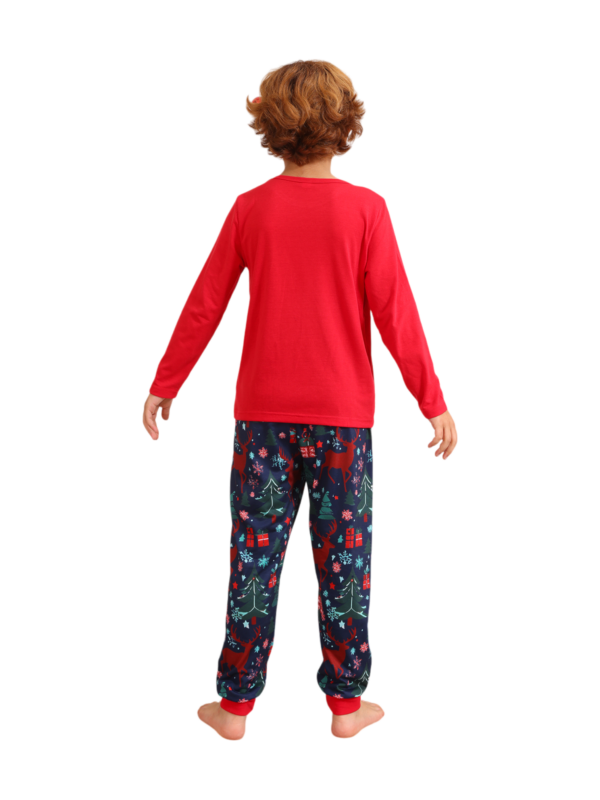 Red blue family Merry Christmas printed pajama with patterns