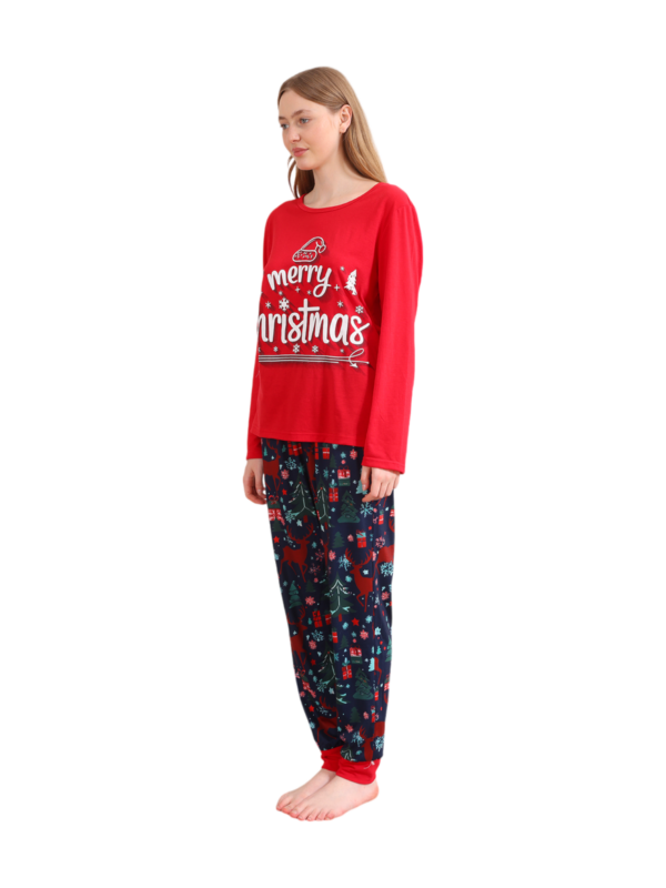 Red blue family Merry Christmas printed pajama with patterns