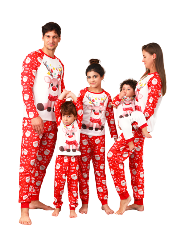 Weihnachtsfaultiere, die an den Girlanden hängen, passende Familienpyjamas