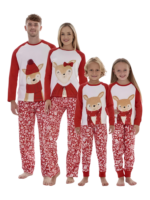 Little reindeer wearing christmas garnements