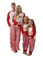 Little reindeer wearing christmas garnements