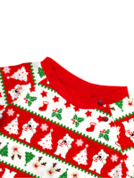 Smiling reindeer and his polar bear friend, dressed for winter matching family pyjama